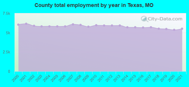 County total employment by year in Texas, MO