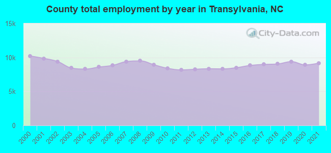 County total employment by year in Transylvania, NC