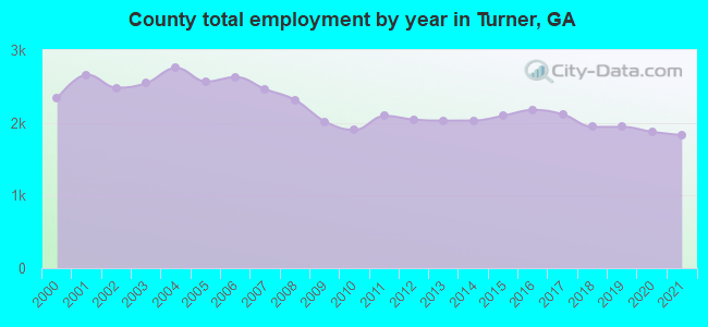 County total employment by year in Turner, GA