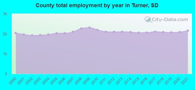 County total employment by year in Turner, SD