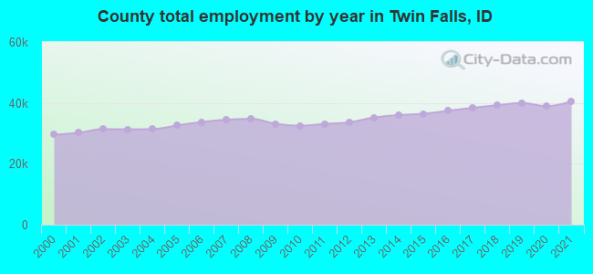 County total employment by year in Twin Falls, ID