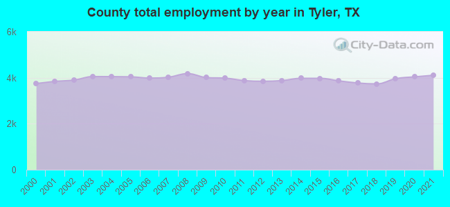 County total employment by year in Tyler, TX