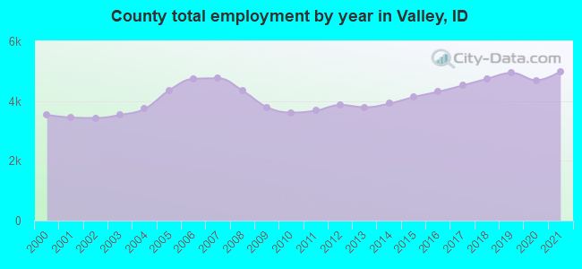 County total employment by year in Valley, ID