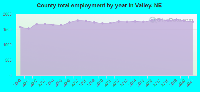 County total employment by year in Valley, NE