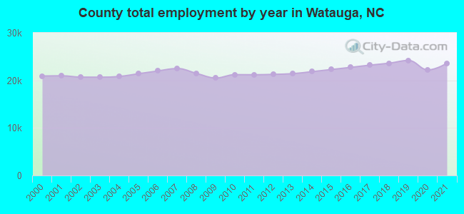 County total employment by year in Watauga, NC