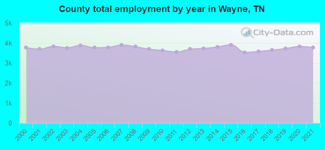 County total employment by year in Wayne, TN