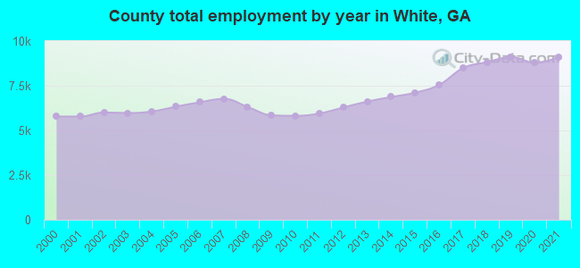 County total employment by year in White, GA