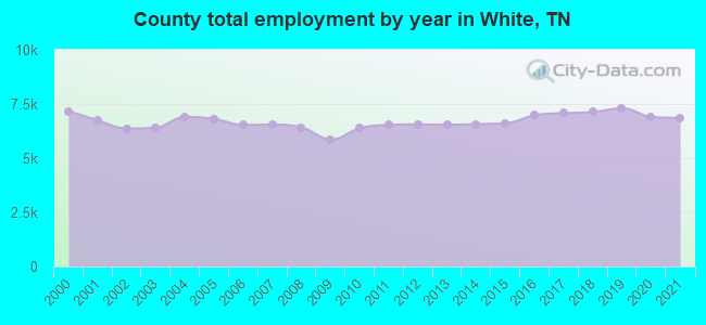 County total employment by year in White, TN