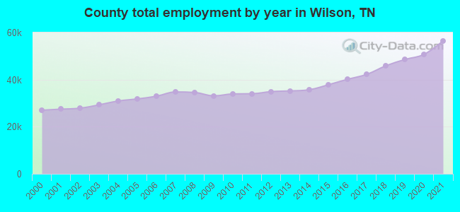 County total employment by year in Wilson, TN