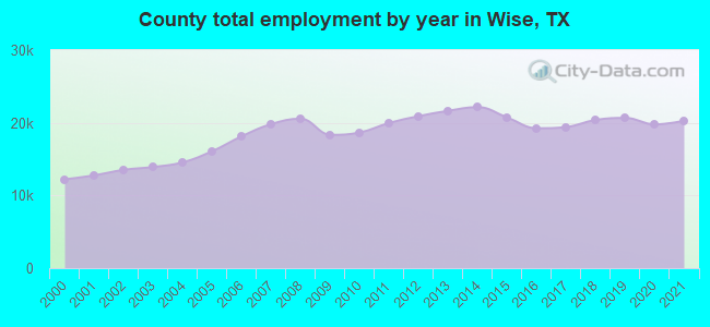 County total employment by year in Wise, TX