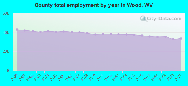 County total employment by year in Wood, WV