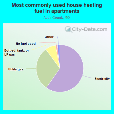 Most commonly used house heating fuel in apartments