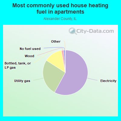 Most commonly used house heating fuel in apartments