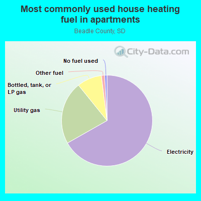 Most commonly used house heating fuel in apartments