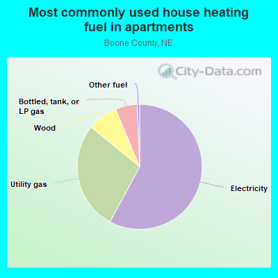 Most commonly used house heating fuel in apartments