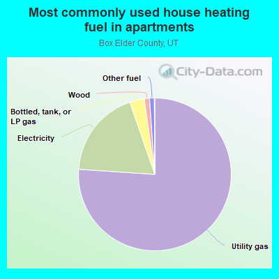 Most commonly used house heating fuel in apartments