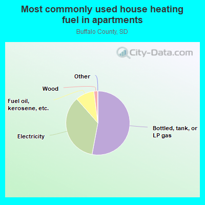 Most commonly used house heating fuel in apartments