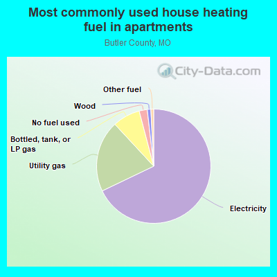 Most commonly used house heating fuel in apartments