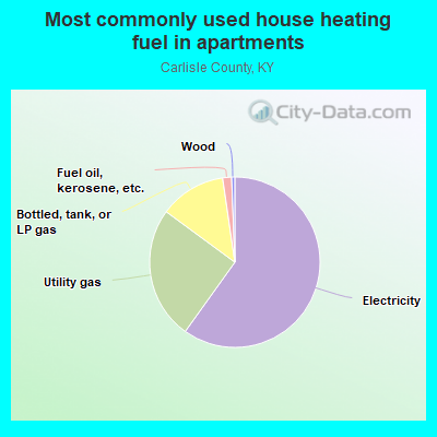 Most commonly used house heating fuel in apartments