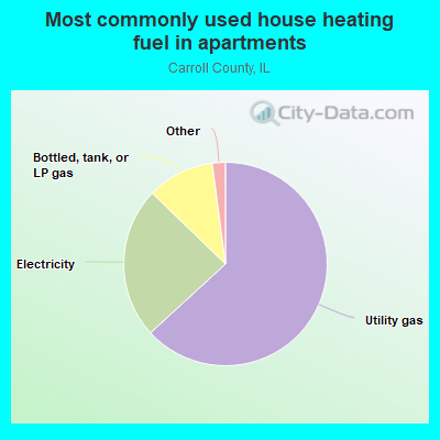 Most commonly used house heating fuel in apartments