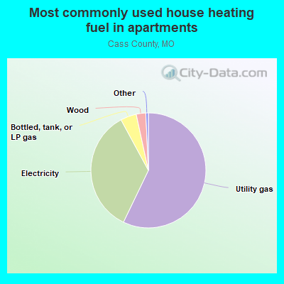 Most commonly used house heating fuel in apartments