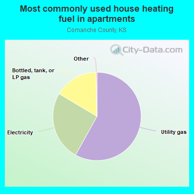 Most commonly used house heating fuel in apartments