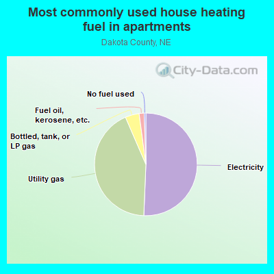 Most commonly used house heating fuel in apartments