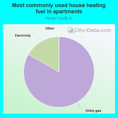 Most commonly used house heating fuel in apartments