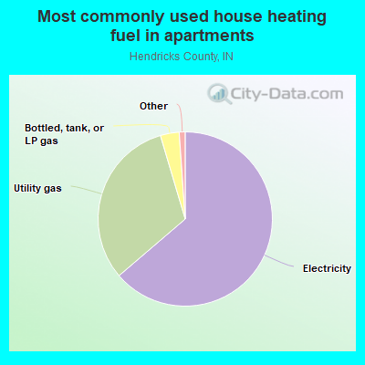 Most commonly used house heating fuel in apartments