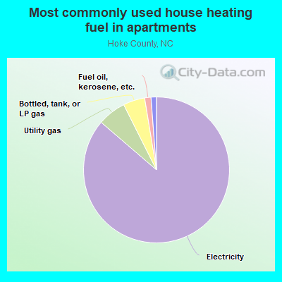 Most commonly used house heating fuel in apartments