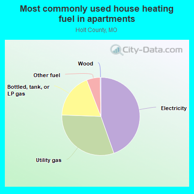 Most commonly used house heating fuel in apartments