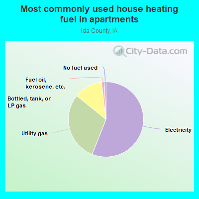 Most commonly used house heating fuel in apartments