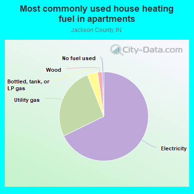 Most commonly used house heating fuel in apartments