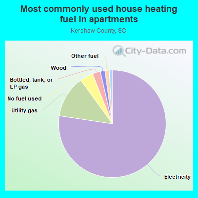 Most commonly used house heating fuel in apartments