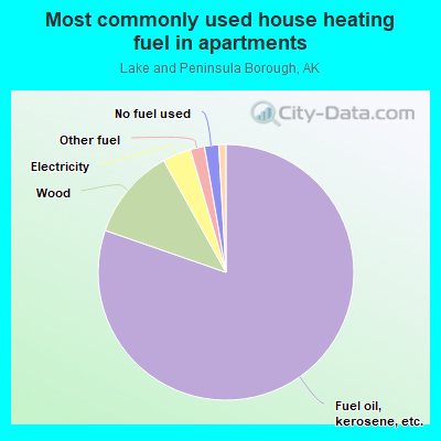 Most commonly used house heating fuel in apartments