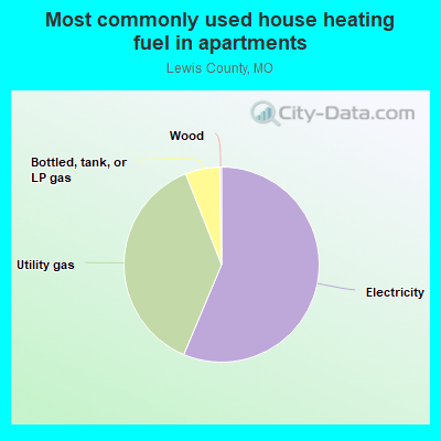 Most commonly used house heating fuel in apartments