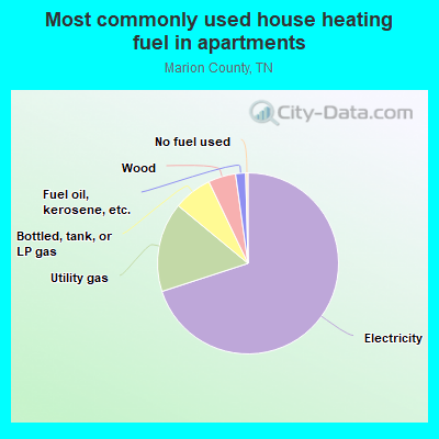 Most commonly used house heating fuel in apartments