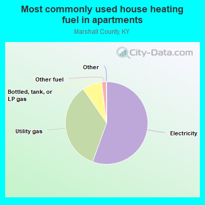 Most commonly used house heating fuel in apartments