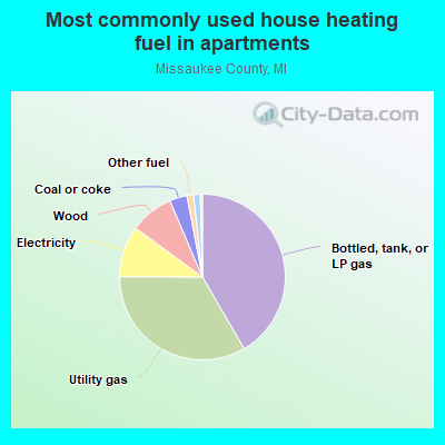 Most commonly used house heating fuel in apartments