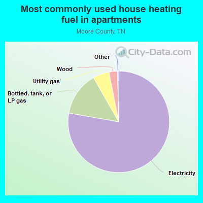 Most commonly used house heating fuel in apartments