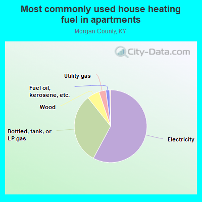 Most commonly used house heating fuel in apartments