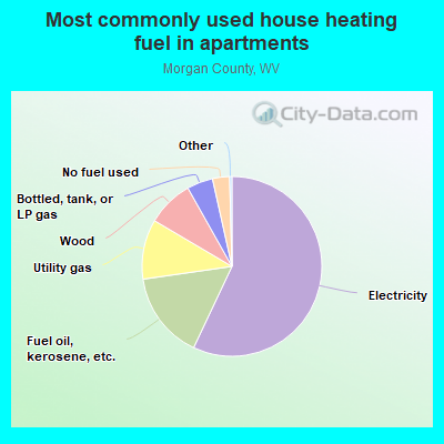 Most commonly used house heating fuel in apartments