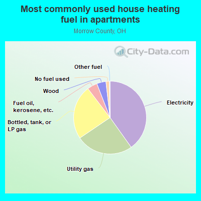 Most commonly used house heating fuel in apartments