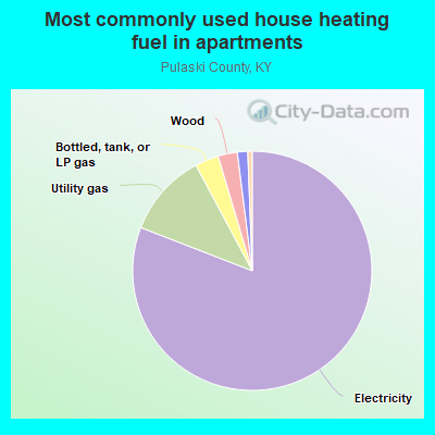 Most commonly used house heating fuel in apartments