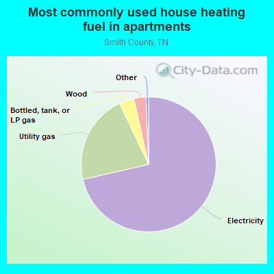 Most commonly used house heating fuel in apartments