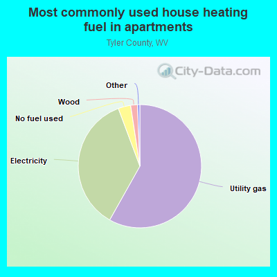 Most commonly used house heating fuel in apartments