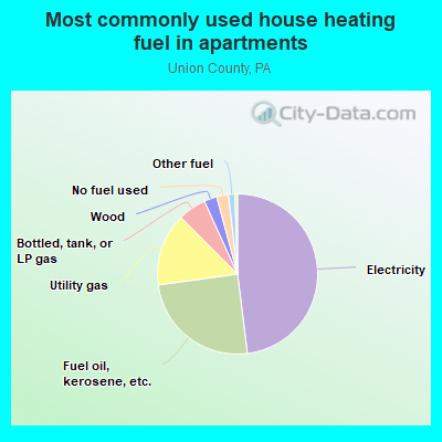 Most commonly used house heating fuel in apartments