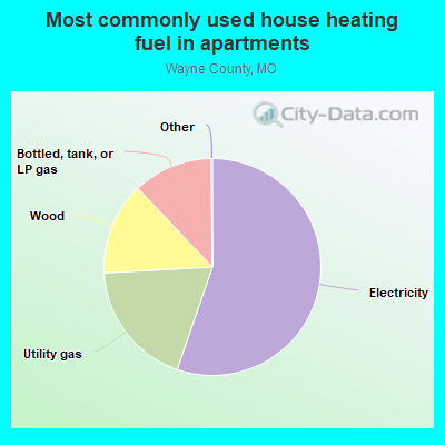 Most commonly used house heating fuel in apartments