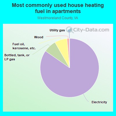 Most commonly used house heating fuel in apartments