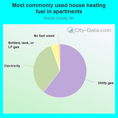 Most commonly used house heating fuel in apartments